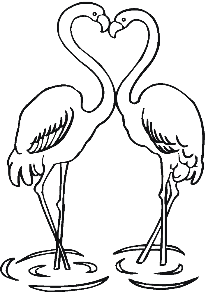 Desenho de Flamingos para colorir e imprimir: número 35