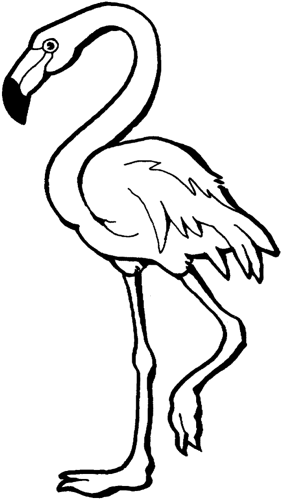 Desenho de Flamingos para colorir e imprimir: número 37