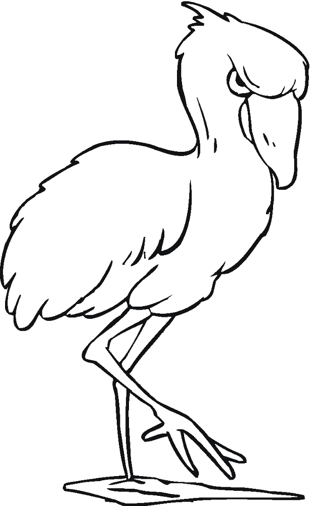 Desenho de Flamingos para colorir e imprimir: número 39
