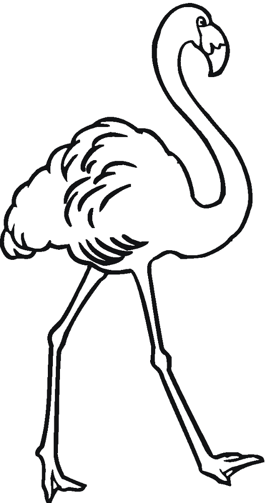 Desenho de Flamingos para colorir e imprimir: número 40