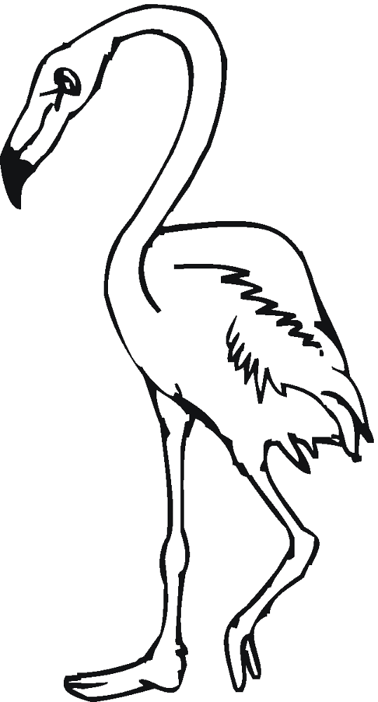 Desenho de Flamingos para colorir e imprimir: número 41
