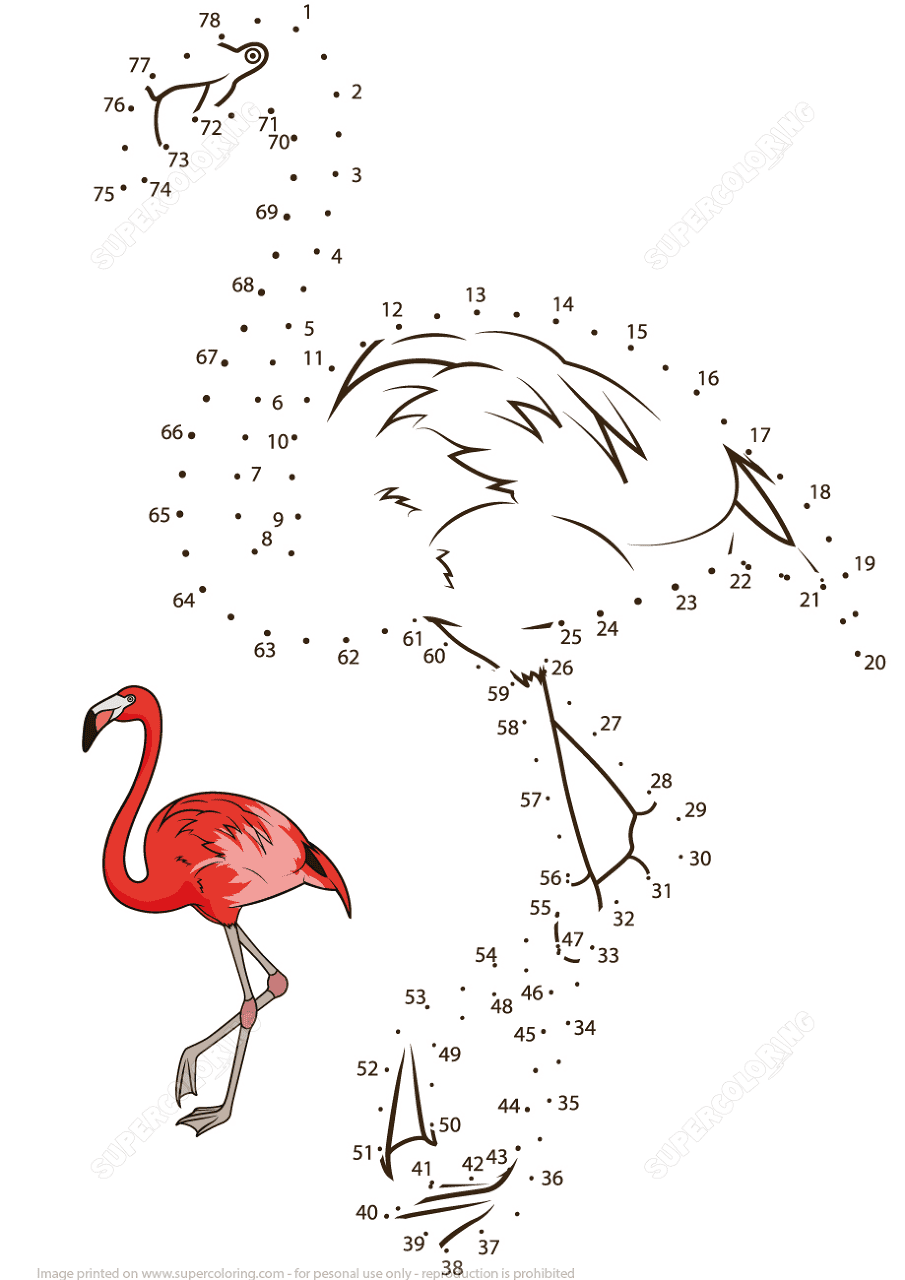 Desenho de Flamingos para colorir e imprimir: número 44