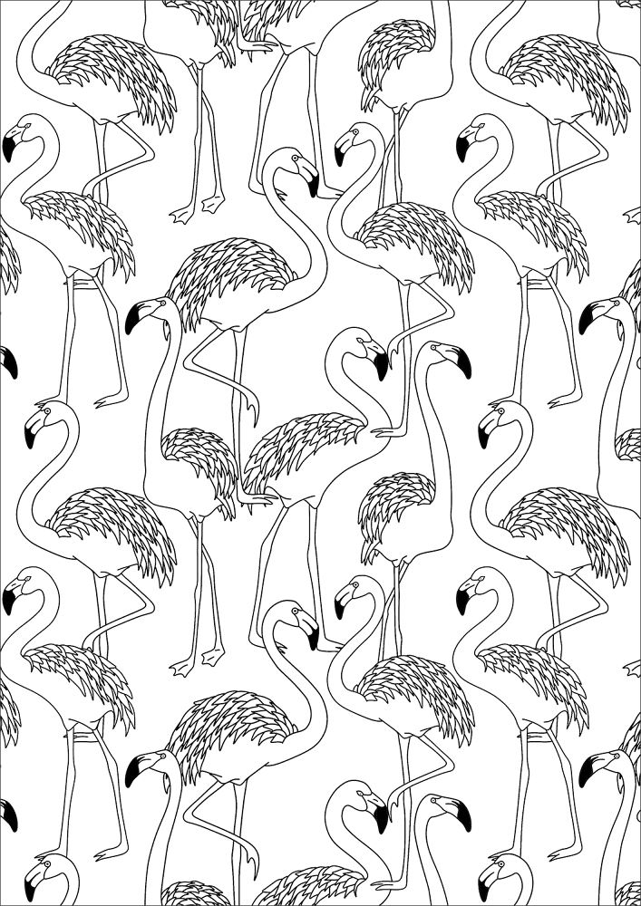 Desenho de Flamingos para colorir e imprimir: número 48