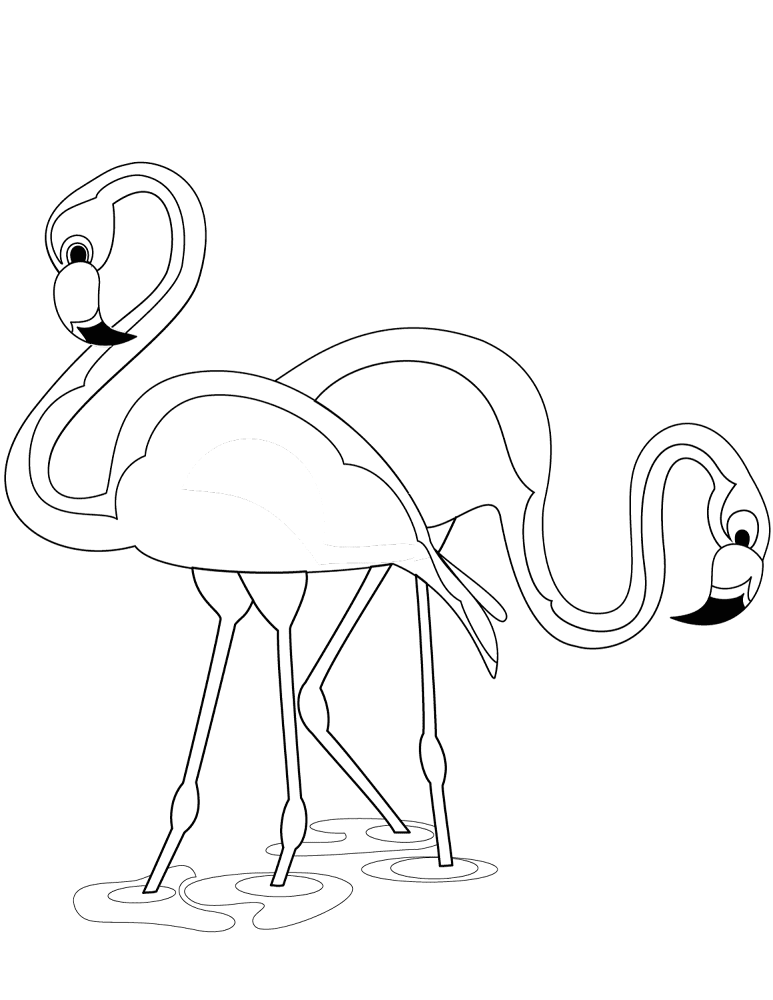 Desenho de Flamingos para colorir