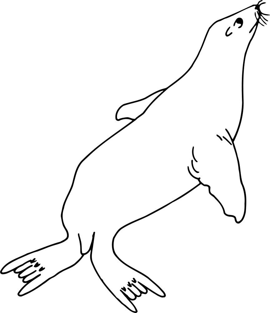 Desenho de Focas para colorir e imprimir: número 2