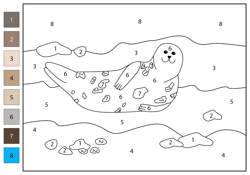 Desenho de Focas para colorir e imprimir: número 5