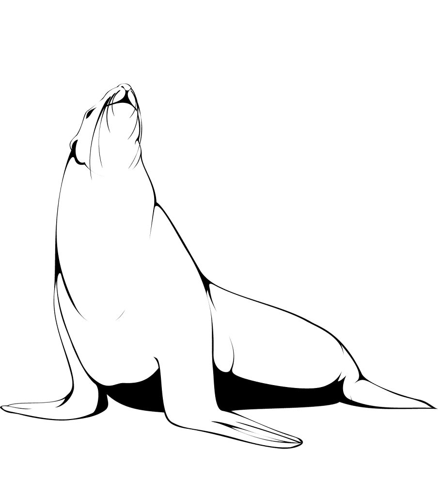 Desenho de Focas para colorir e imprimir: número 9
