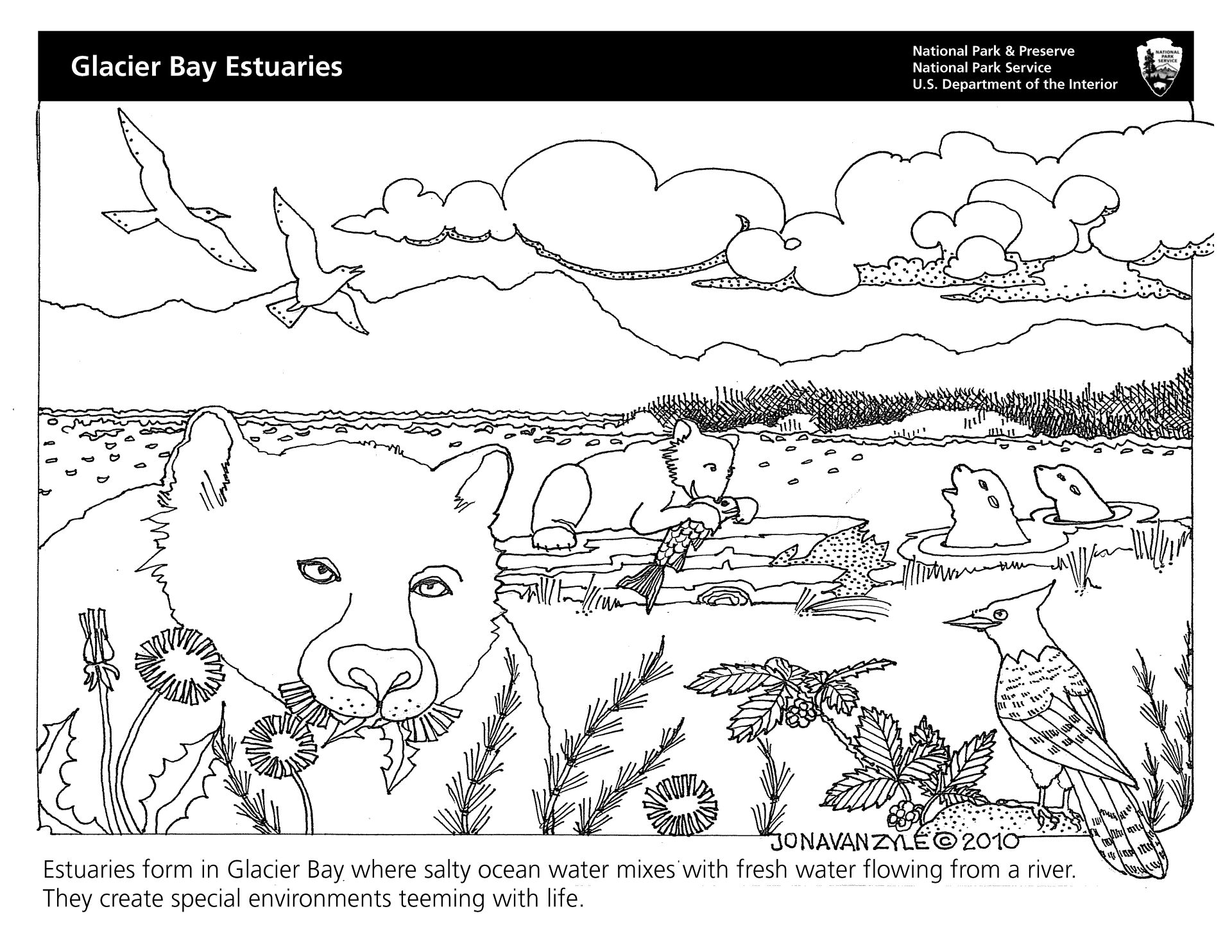 Desenho de Focas para colorir e imprimir: número 10
