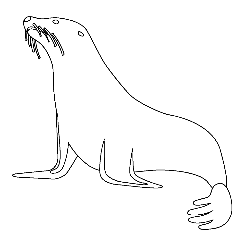 Desenho de Focas para colorir e imprimir: número 11