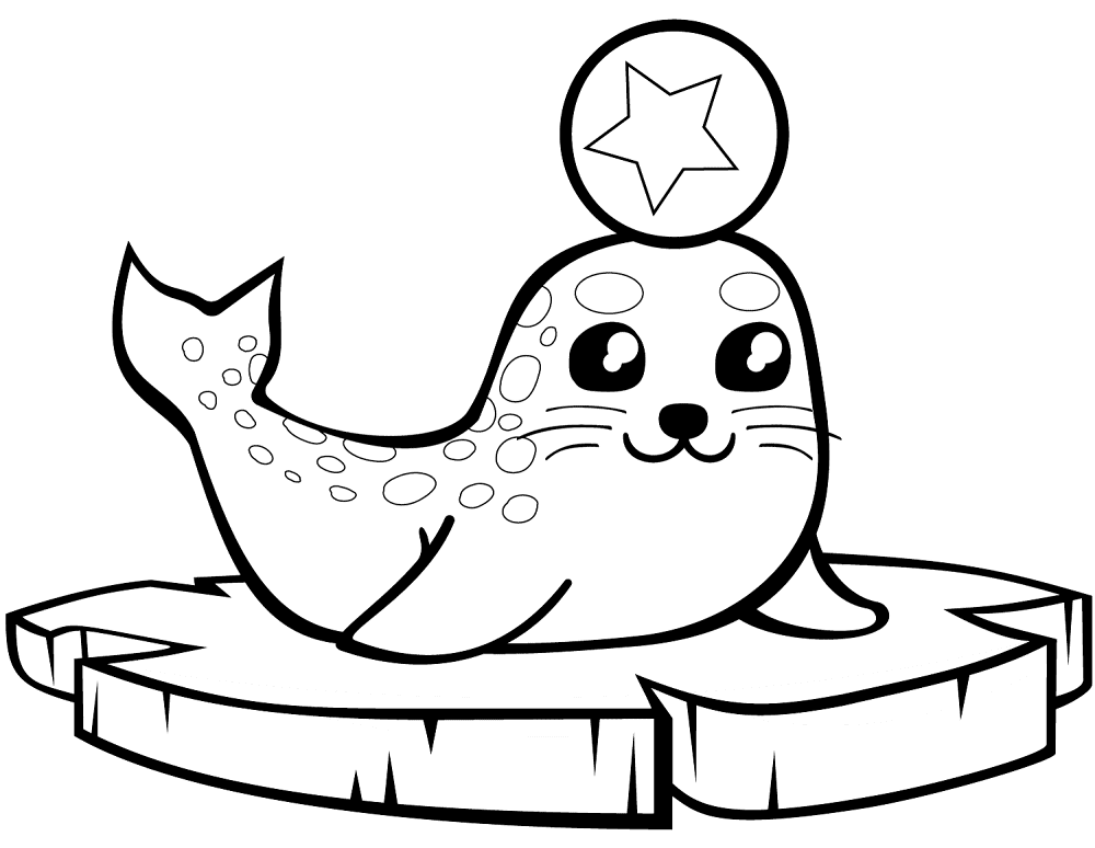 Desenho de Focas para colorir e imprimir: número 17