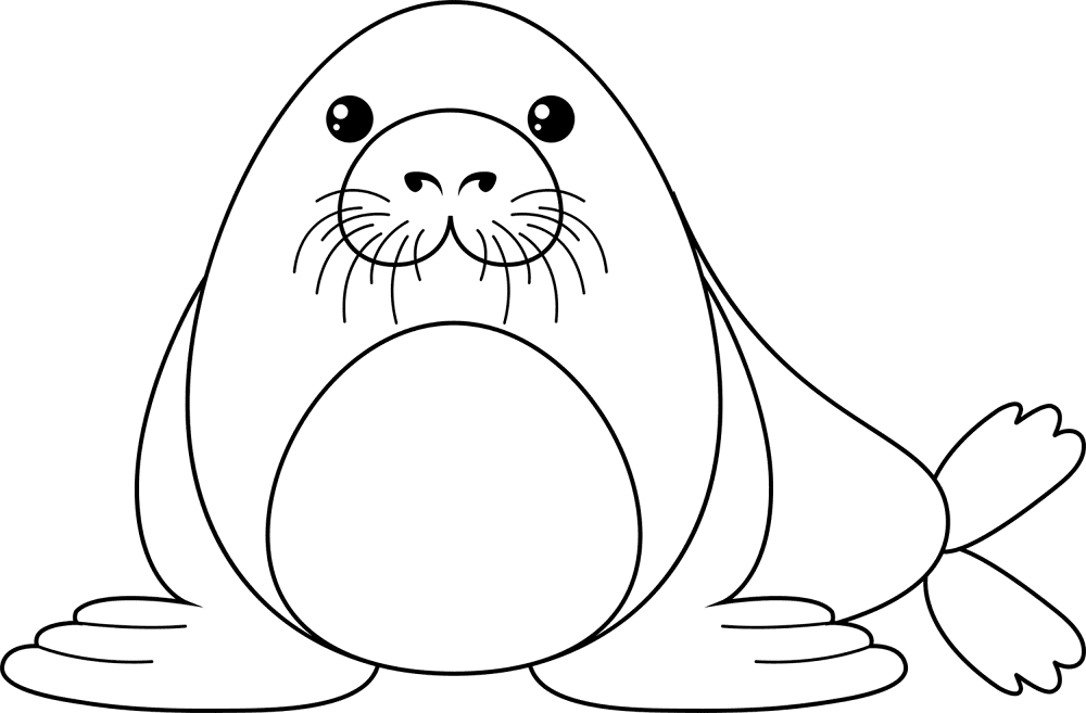 Desenho de Focas para colorir e imprimir: número 22
