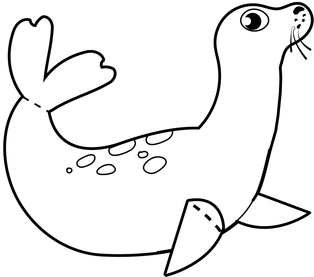 Desenho de Focas para colorir e imprimir: número 29