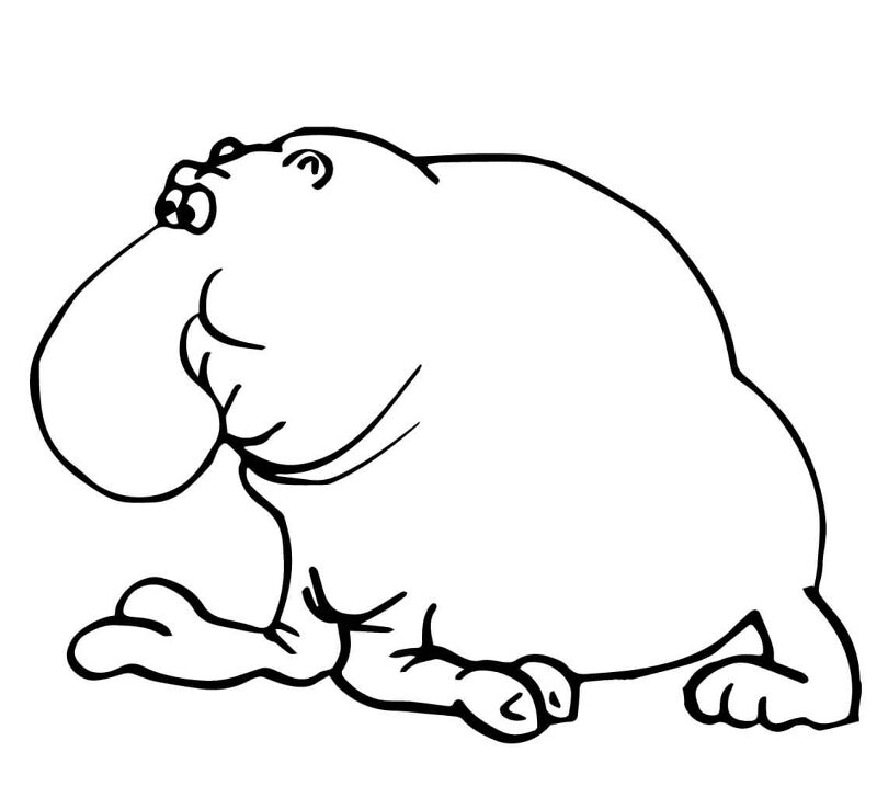 Desenho de Focas para colorir e imprimir: número 32