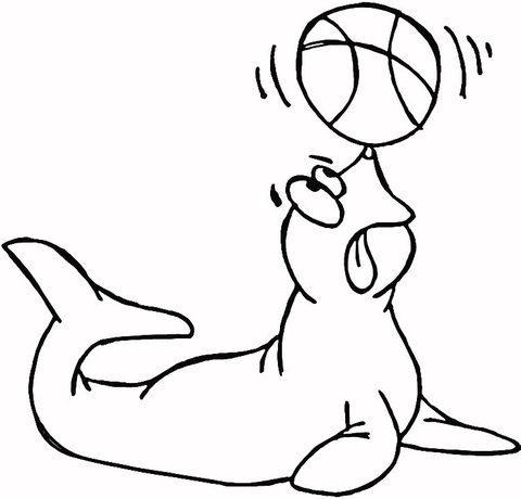 Desenho de Focas para colorir e imprimir: número 42