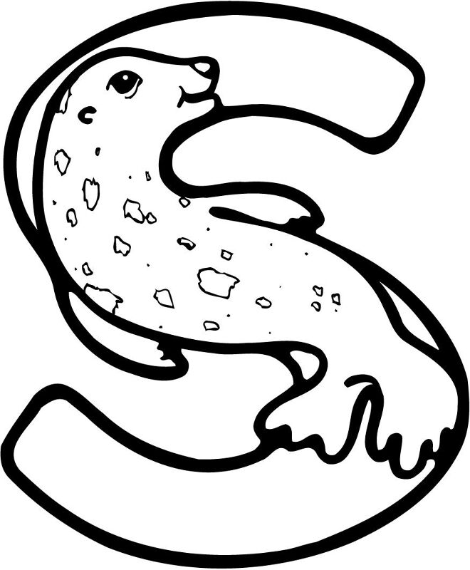 Desenho de Focas para colorir e imprimir: número 44