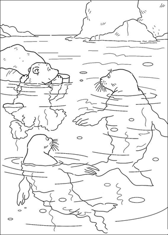 Desenho de Focas para colorir e imprimir: número 46