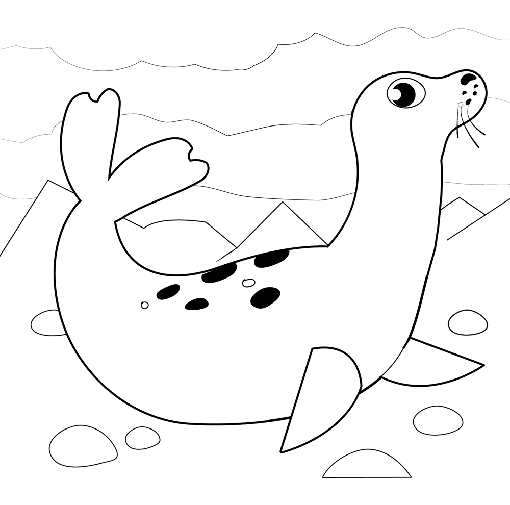 Desenho de Focas para colorir