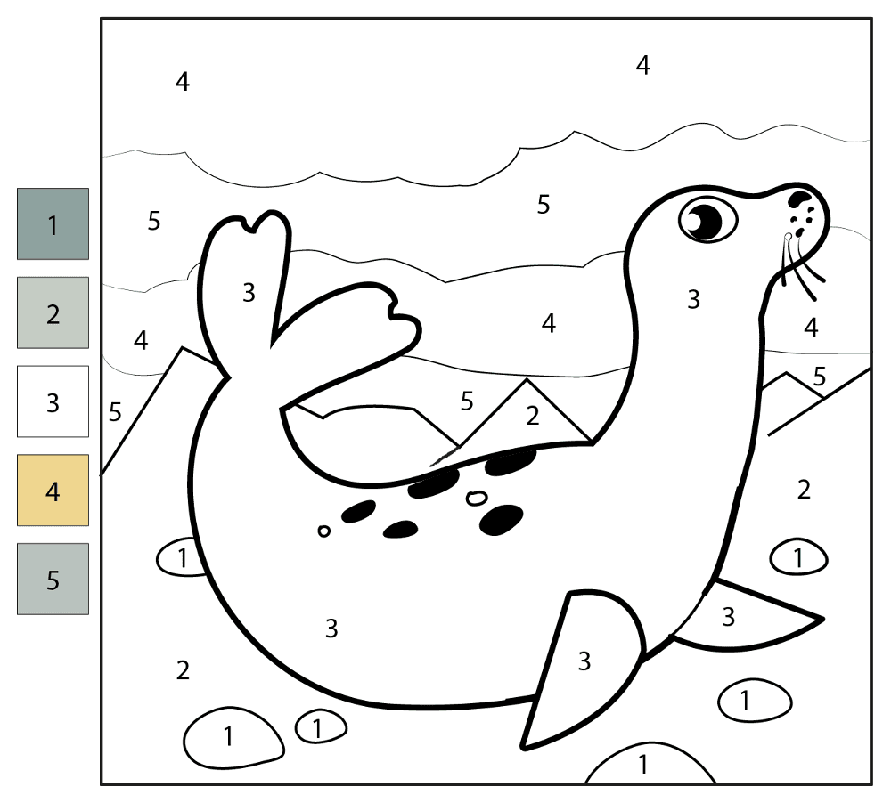 Desenho de Focas para colorir