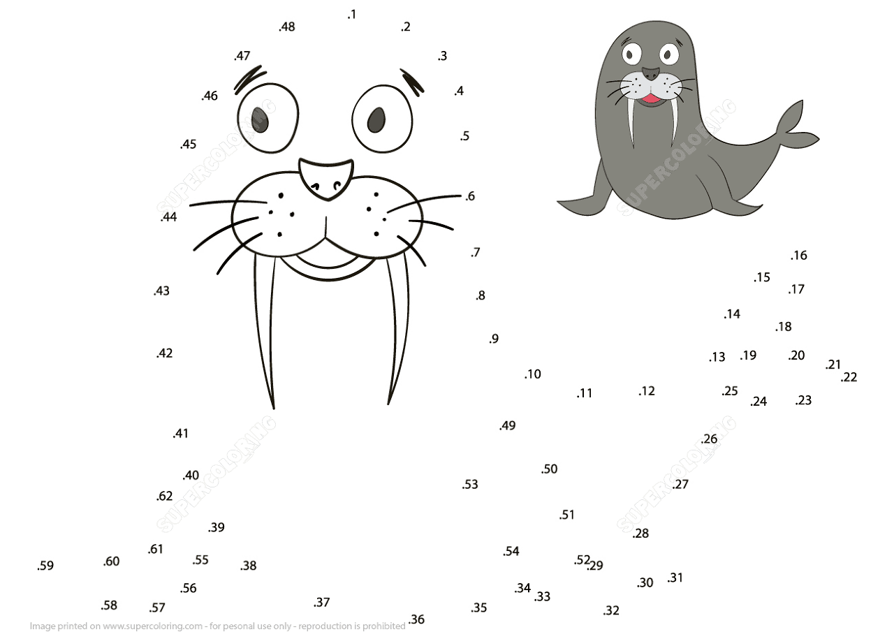 Desenho de Focas para colorir