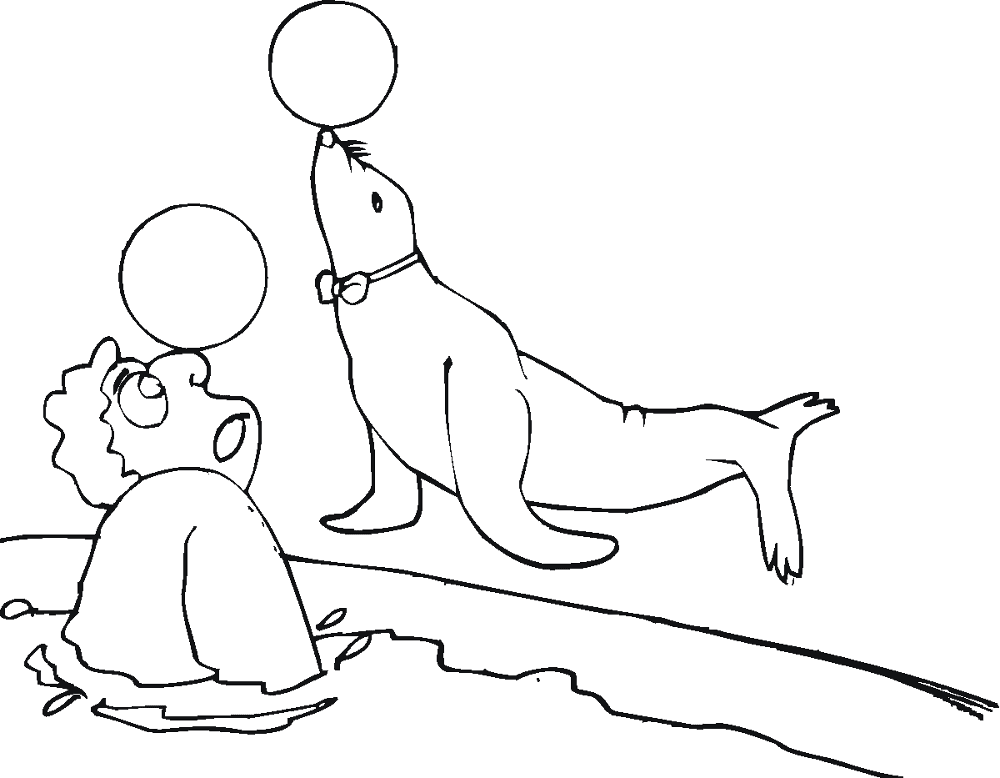 Desenho de Focas para colorir