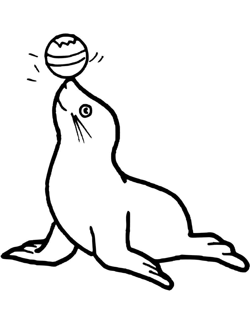 Desenho de Focas para colorir