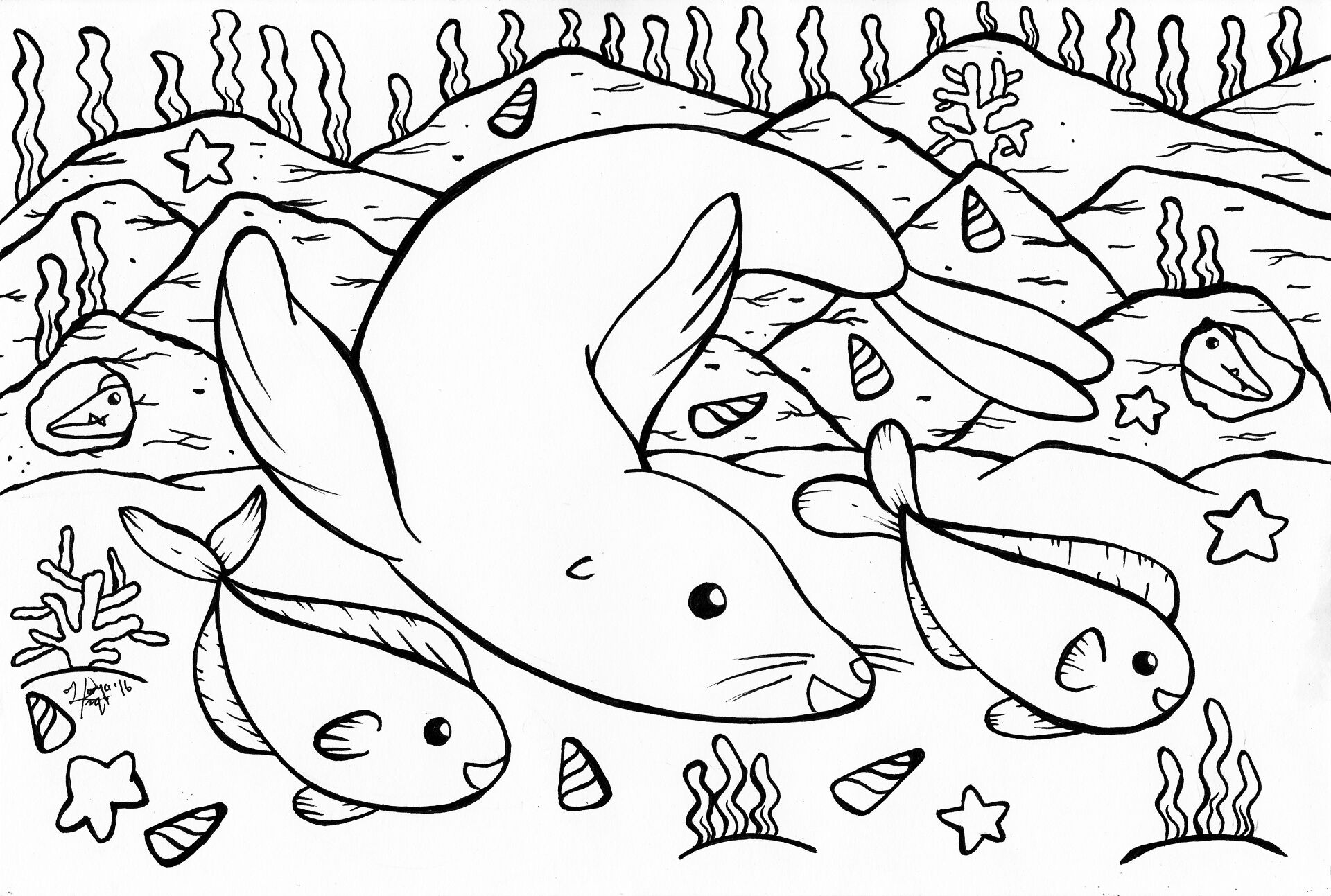 Desenho de Focas para colorir