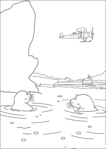 Desenho de Focas para colorir