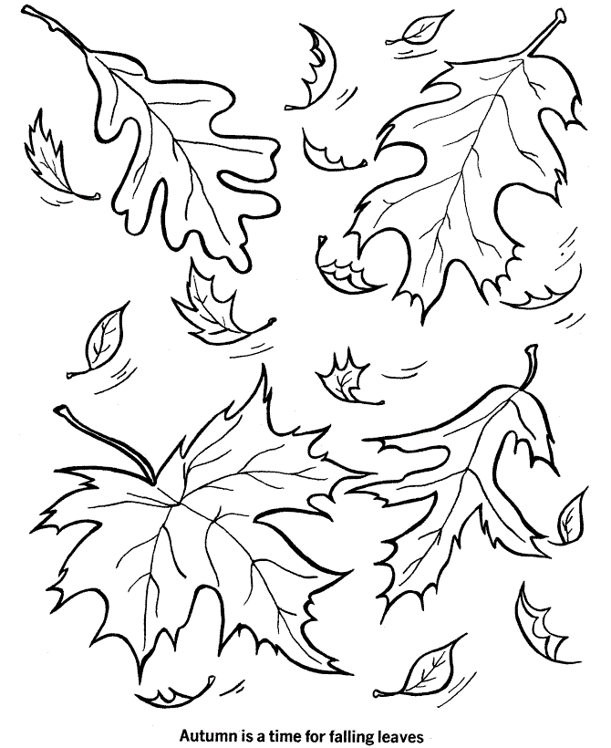 Desenho de Folhas para colorir e imprimir: número 3
