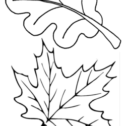 Desenho de Folhas para colorir e imprimir: número 5