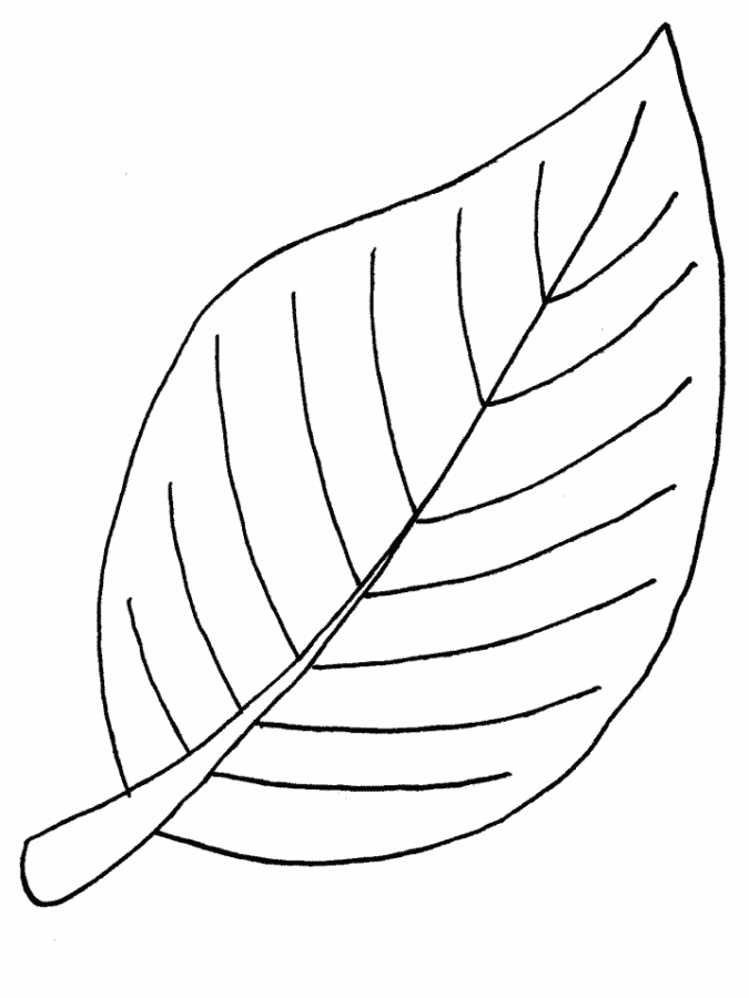 Desenho de Folhas para colorir e imprimir: número 6
