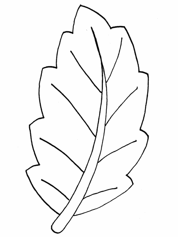 Desenho de Folhas para colorir e imprimir: número 8