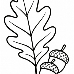 Desenho de Folhas para colorir e imprimir: número 13
