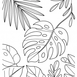 Desenho de Folhas para colorir e imprimir: número 15