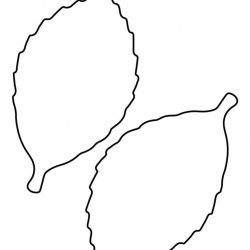 Desenho de Folhas para colorir e imprimir: número 17