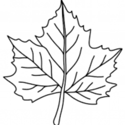 Desenho de Folhas para colorir e imprimir: número 18