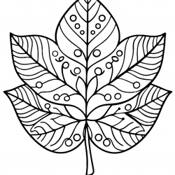 Desenho de Folhas para colorir e imprimir: número 20