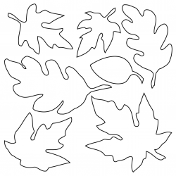 Desenho de Folhas para colorir e imprimir: número 21
