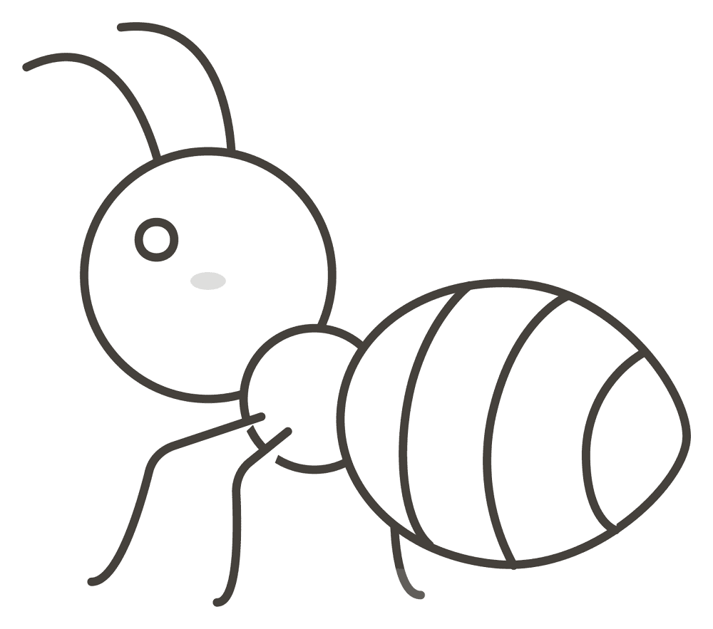 Desenho de Formigas para colorir e imprimir: número 12