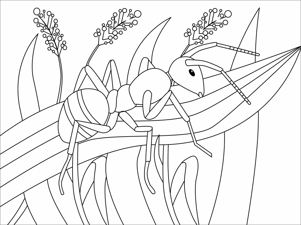 Desenho de Formigas para colorir e imprimir: número 18