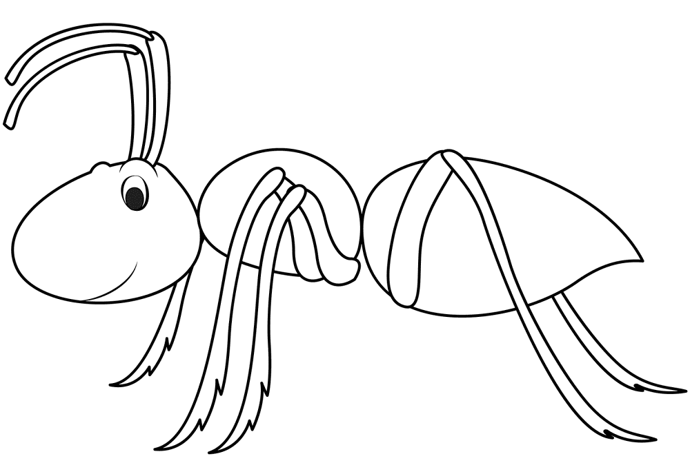 Desenho de Formigas para colorir e imprimir: número 19