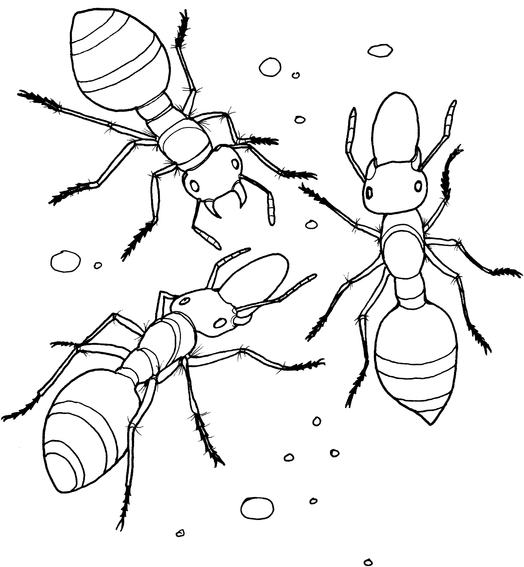Desenho de Formigas para colorir e imprimir: número 20