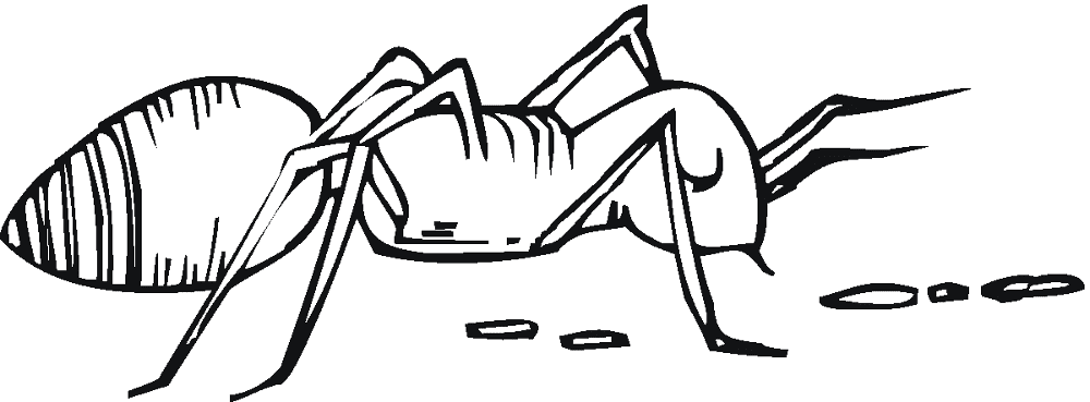 Desenho de Formigas para colorir e imprimir: número 28