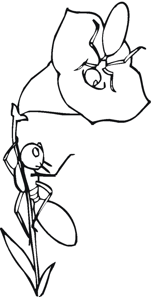 Desenho de Formigas para colorir e imprimir: número 29
