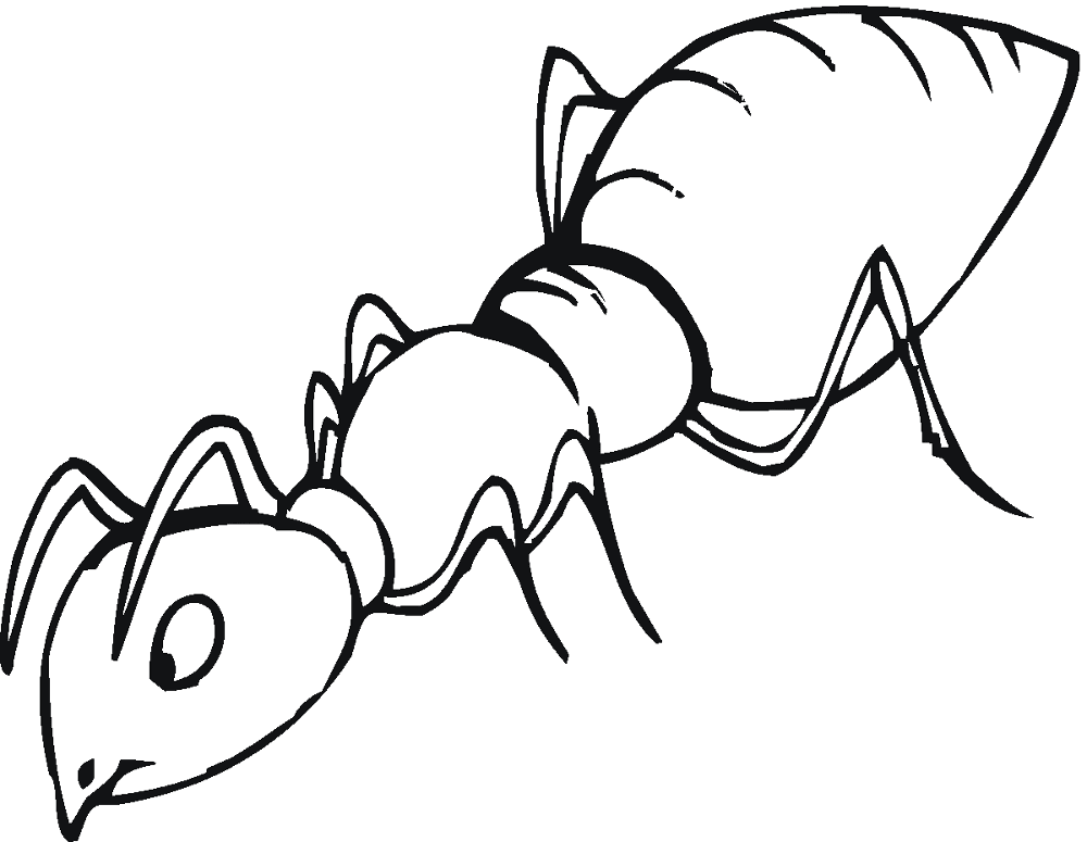 Desenho de Formigas para colorir e imprimir: número 30