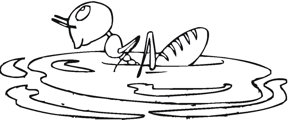 Desenho de Formigas para colorir e imprimir: número 31