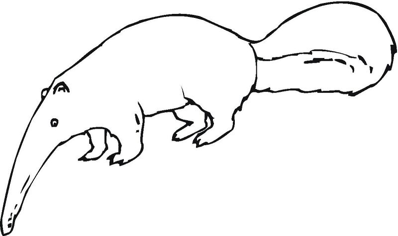 Desenho de Formigas para colorir e imprimir: número 38