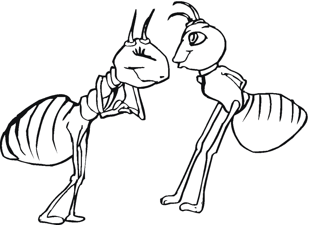 Desenho de Formigas para colorir e imprimir: número 40