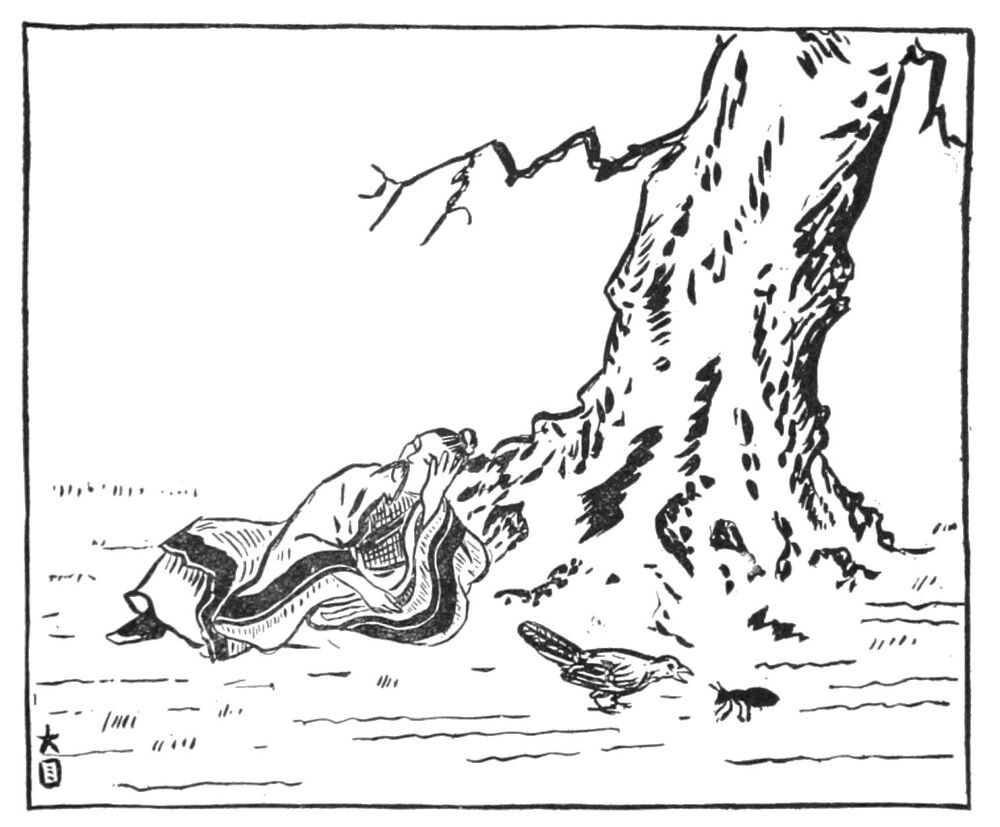 Desenho de Formigas para colorir e imprimir: número 48
