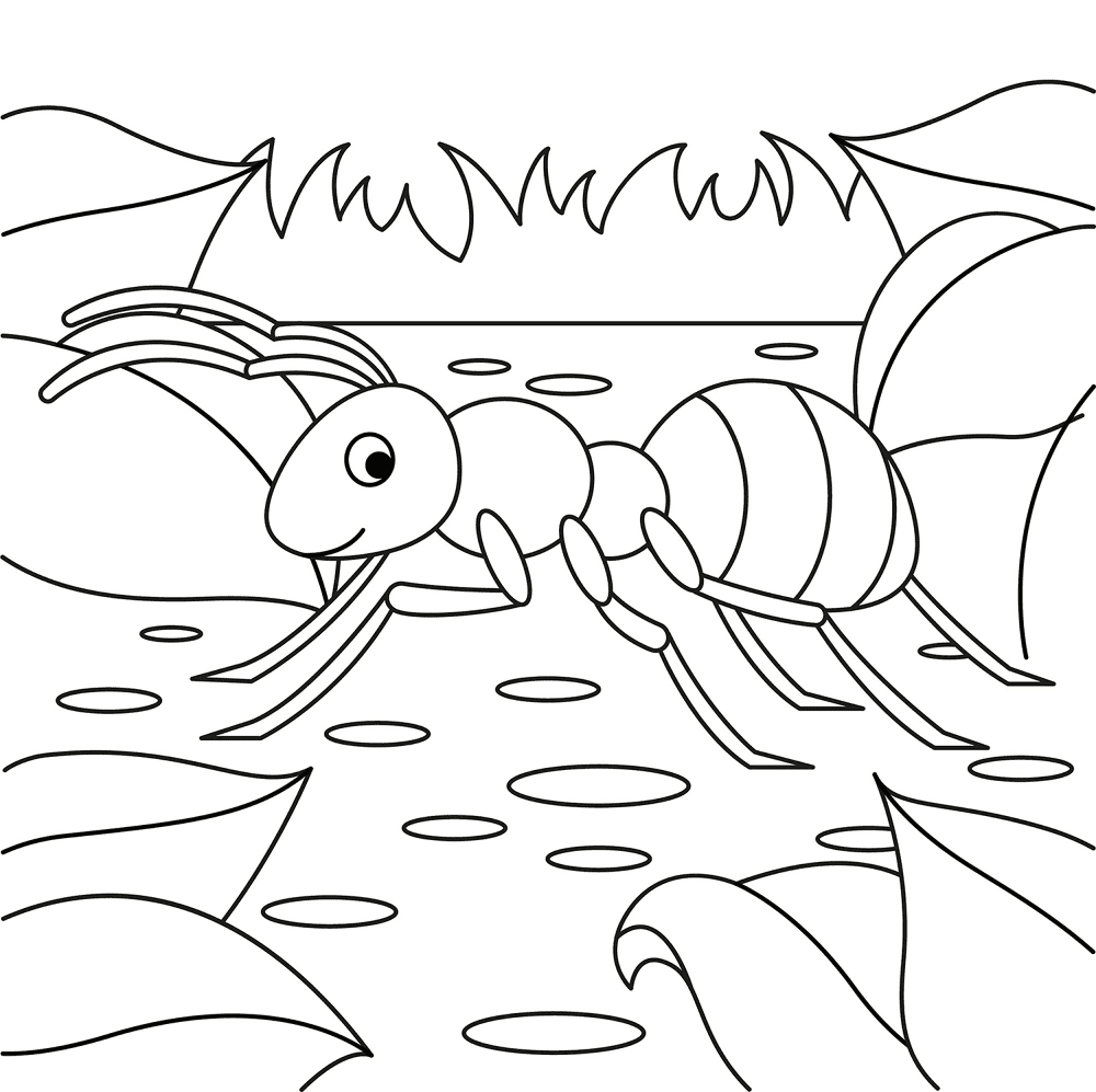 Desenho de Formigas para colorir