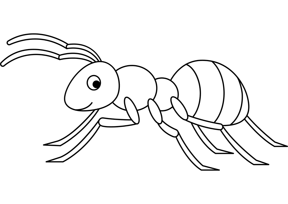 Desenho de Formigas para colorir